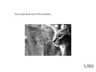 You could look out of the window …
 