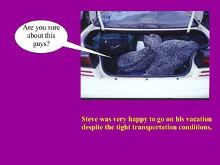 Steve was very happy to go on his vacation despite the tight transportation conditions. Are you sure about this guys? 