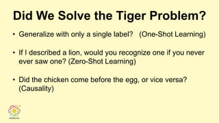 Did We Solve the Tiger Problem?
• Generalize with only a single label? (One-Shot Learning)
• If I described a lion, would you recognize one if you never
ever saw one? (Zero-Shot Learning)
• Did the chicken come before the egg, or vice versa?
(Causality)
 