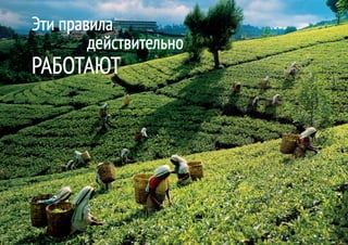 Эти правила
        действительно
РАБОТАЮТ
 