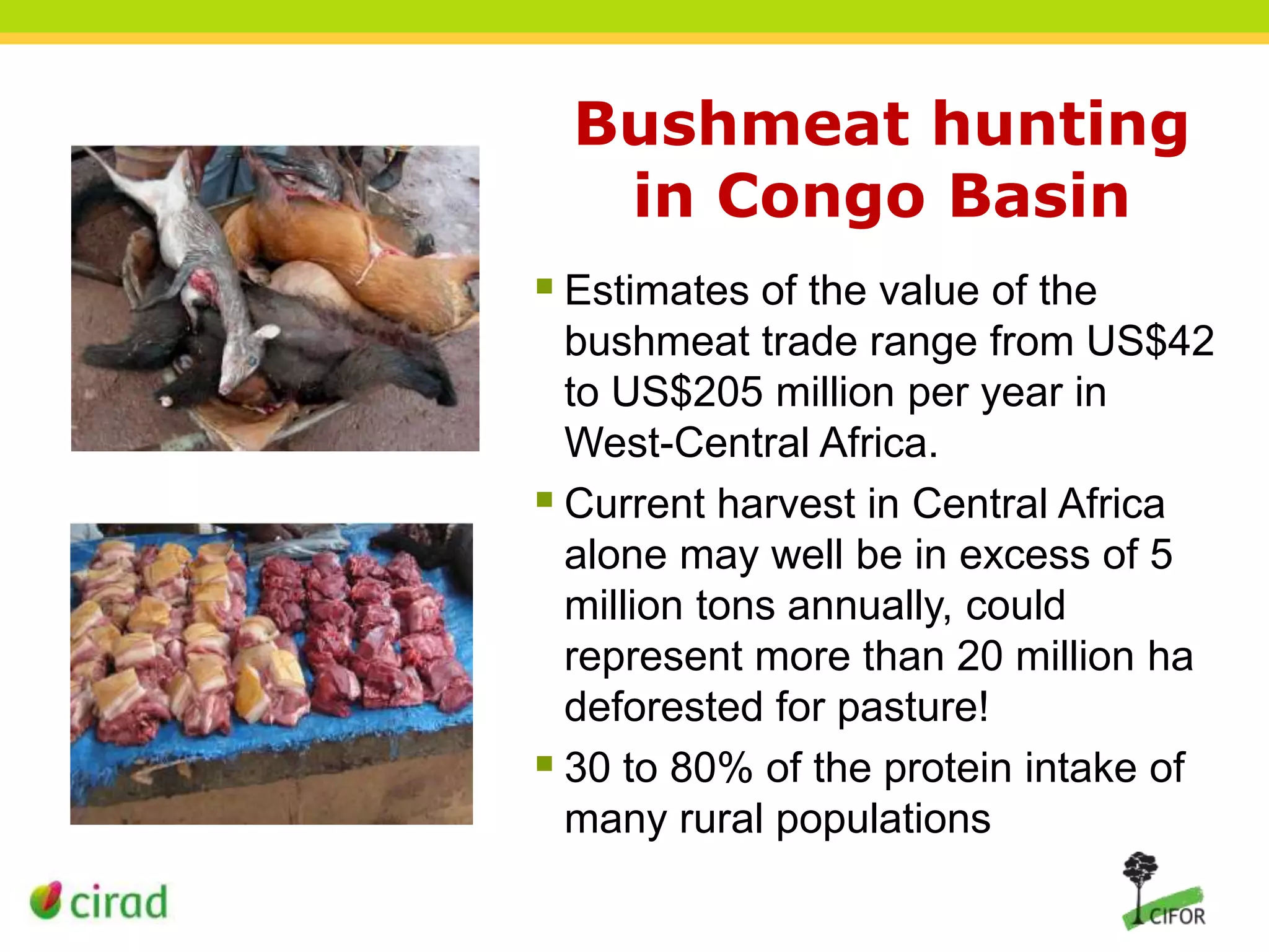 Bushmeat hunting
in Congo Basin
 Estimates of the value of the
bushmeat trade range from US$42
to US$205 million per year in
West-Central Africa.
 Current harvest in Central Africa
alone may well be in excess of 5
million tons annually, could
represent more than 20 million ha
deforested for pasture!
 30 to 80% of the protein intake of
many rural populations

 