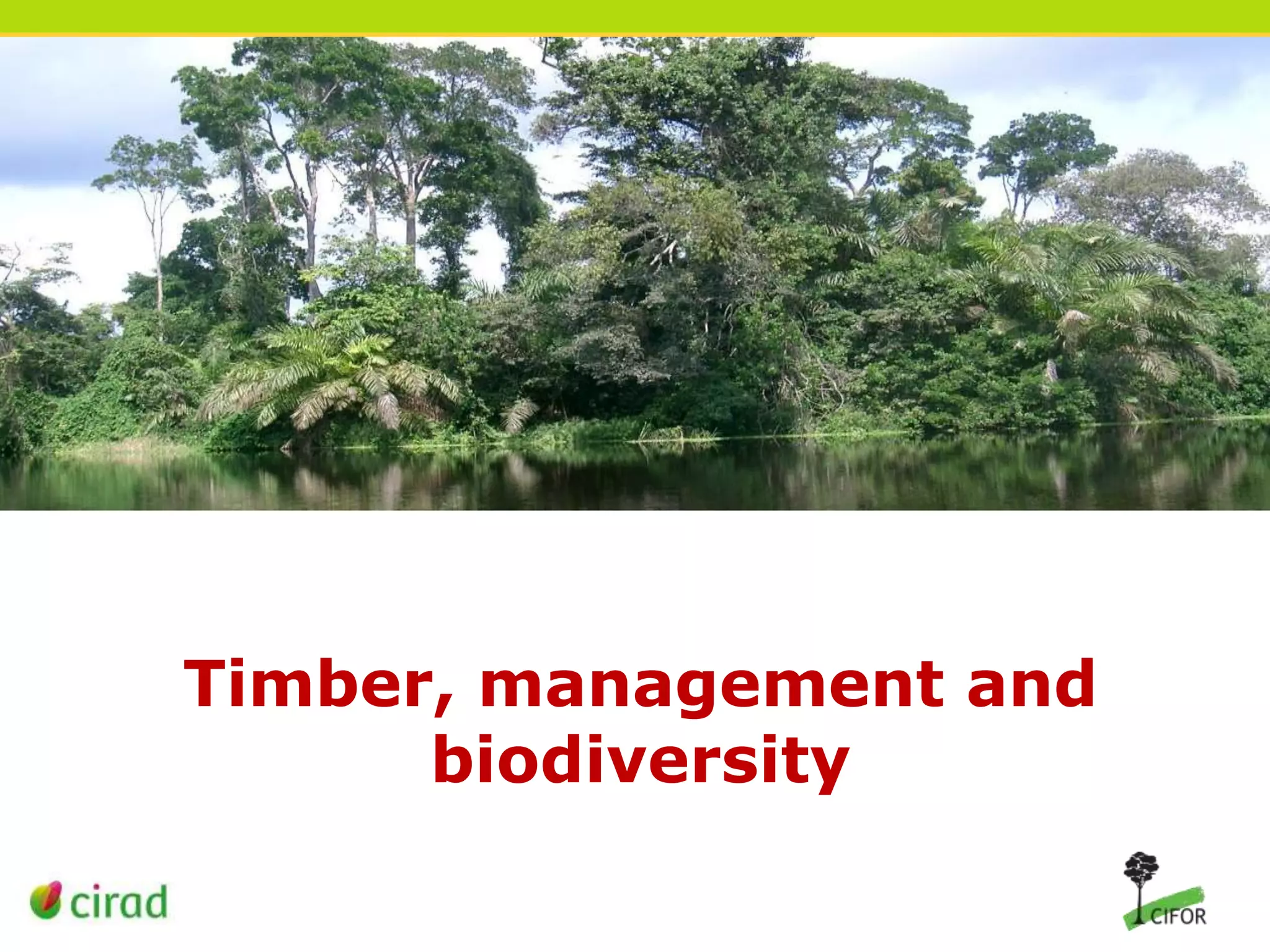 Timber, management and
biodiversity

 