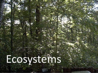 Ecosystems
Ecosystems
 