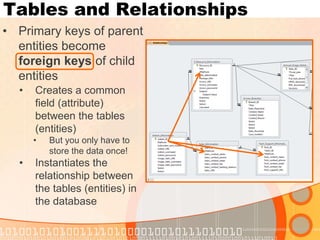Tables and Relationships 
•Primary keys of parent entities become foreign keys of child entities 
•Creates a common field (attribute) between the tables (entities) 
•But you only have to store the data once! 
•Instantiates the relationship between the tables (entities) in the database  