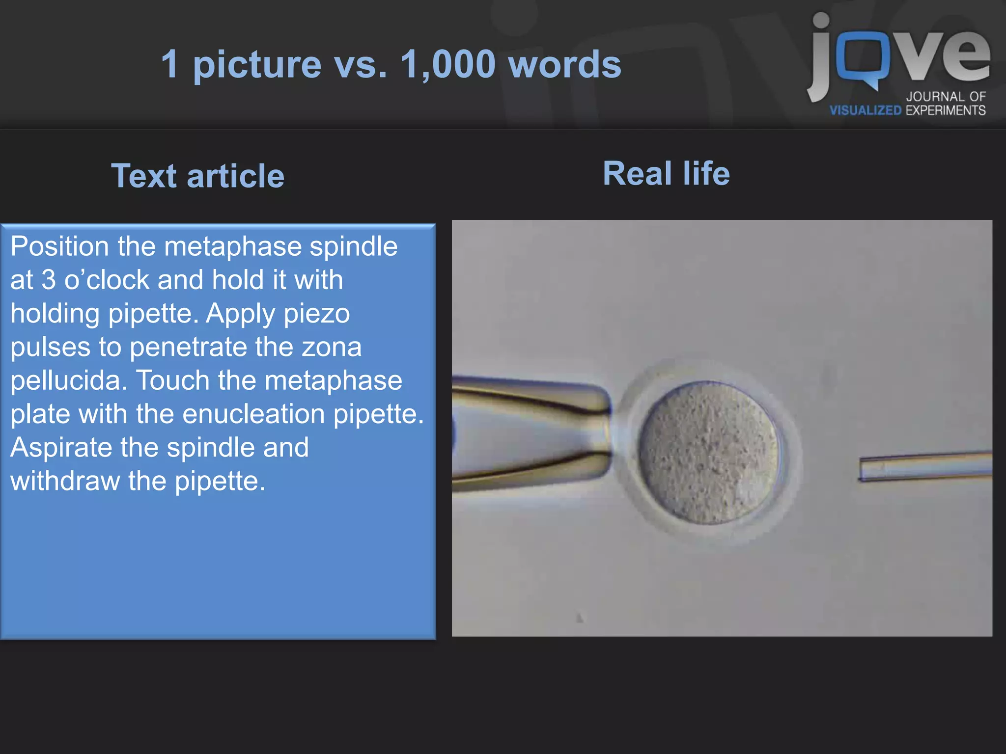 1 picture vs. 1,000 words

        Text article                  Real life

Position the metaphase spindle
at 3 o’clock and hold it with
holding pipette. Apply piezo
pulses to penetrate the zona
pellucida. Touch the metaphase
plate with the enucleation pipette.
Aspirate the spindle and
withdraw the pipette.
 