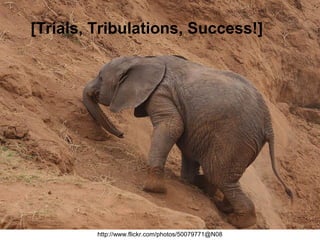 [Trials, Tribulations, Success!]
http://www.flickr.com/photos/50079771@N08
 