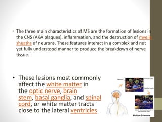 • The three main characteristics of MS are the formation of lesions in
the CNS (AKA plaques), inflammation, and the destruction of myelin
sheaths of neurons. These features interact in a complex and not
yet fully understood manner to produce the breakdown of nerve
tissue.
• These lesions most commonly
affect the white matter in
the optic nerve, brain
stem, basal ganglia, and spinal
cord, or white matter tracts
close to the lateral ventricles.
 