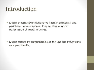 Introduction
• Myelin sheaths cover many nerve fibers in the central and
peripheral nervous system; they accelerate axonal
transmission of neural impulses.
• Myelin formed by oligodendroglia in the CNS and by Schwann
cells peripherally.
 