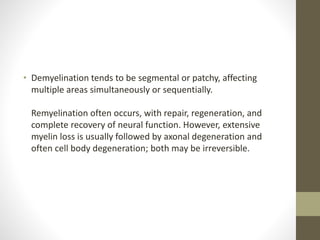 • Demyelination tends to be segmental or patchy, affecting
multiple areas simultaneously or sequentially.
Remyelination often occurs, with repair, regeneration, and
complete recovery of neural function. However, extensive
myelin loss is usually followed by axonal degeneration and
often cell body degeneration; both may be irreversible.
 