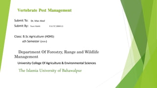 Vertebrate Pest Management
Submit To: Dr. Irfan Ahraf
Submit By: Nasir Habib FA17C1BB013
Class: B.Sc Agriculture (HONS)
5th Semester (FRW)
Department Of Forestry, Range and Wildlife
Management
University College Of Agriculture & Environmental Sciences
The Islamia University of Bahawalpur
 