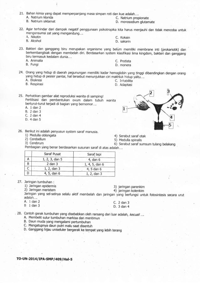 Naskah Soal Tryout Ujian Nasional IPA SMP Kab Tuban Tahun