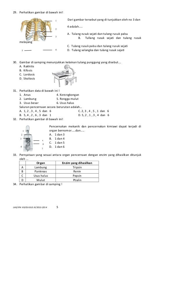 NASKAH SOAL ULANGAN AKHIR SEMESTER 1 (AUS 1) IPA SMP KELAS 8 TP.2013-…