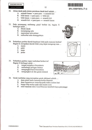 DOKUMENNEGARA
ilililflilil ililfiil

t2

32.

serambi kiri

+

paru-paru

ilil ltil

IPA SMP/MTs .?- tZ

-+ serambi kanan
...