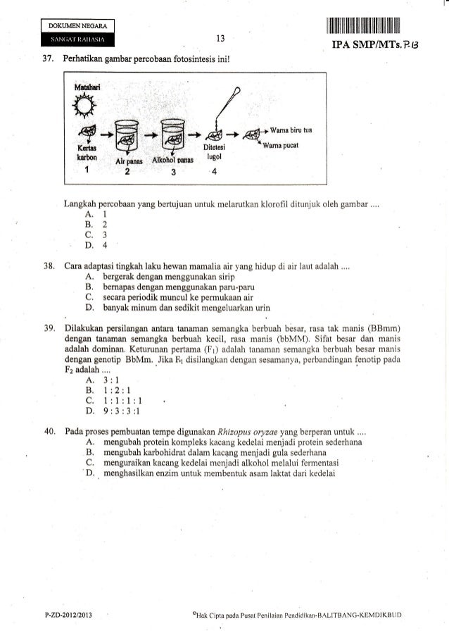 Naskah Soal Ujian Nasional IPA SMP Tahun 2013 paket 13