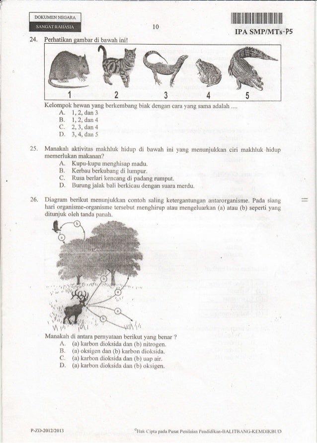 Naskah Ujian Nasional IPA SMP Tahun 2013 paket-05