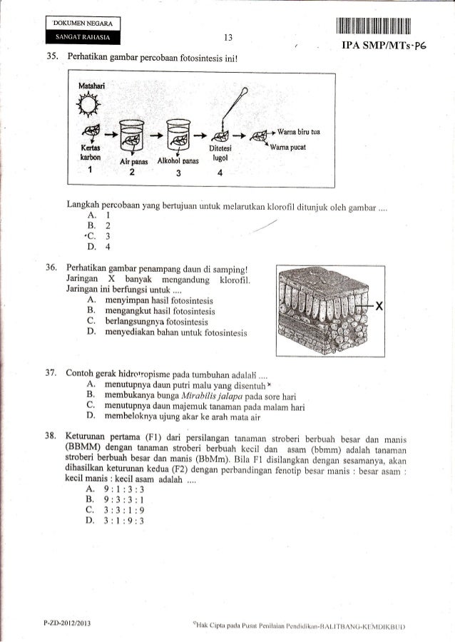 Naskah Ujian Nasional IPA SMP Tahun 2013 paket-06