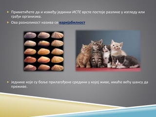  Приметићете да и између јединки ИСТЕ врсте постоје разлике у изгледу или
грађи организма.
 Ова разноликост назива се варијабилност
 Једнике које су боље прилагођене средини у којој живе, имаће већу шансу да
преживе.
 