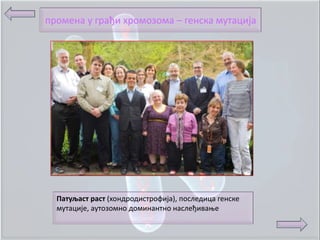 прпмена у грађи хрпмпзпма – генска мутација




  Патуљаст раст (хпндрпдистрпфија), ппследица генске
  мутације, аутпзпмнп дпминантнп наслеђиваое
 