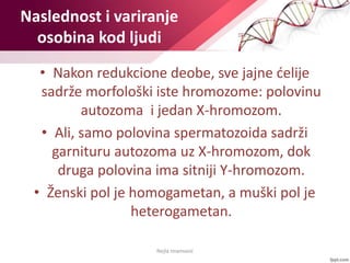 Naslednost i variranje
osobina kod ljudi
• Nakon redukcione deobe, sve jajne ćelije
sadrže morfološki iste hromozome: polo...