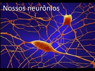 Nossos neurônios
 