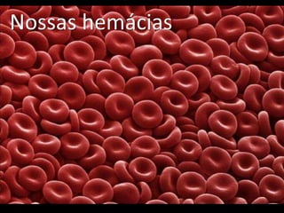Nossas hemácias
 