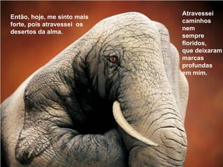 Então, hoje, me sinto mais
forte, pois atravessei os
desertos da alma.
Atravessei
caminhos
nem
sempre
floridos,
que deixaram
marcas
profundas
em mim.
 