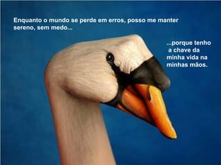 Enquanto o mundo se perde em erros, posso me manter
sereno, sem medo...
...porque tenho
a chave da
minha vida na
minhas mãos.
 