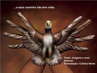 ...e esse caminho não tem volta.
Texto, imagens e som:
Internet.
Formatação: Celinha Neme
 