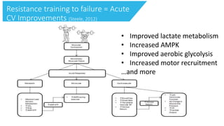 Resistance training to failure = Acute
CV Improvements (Steele, 2012)
• Improved lactate metabolism
• Increased AMPK
• Improved aerobic glycolysis
• Increased motor recruitment
…and more
 