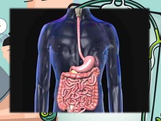 Intestinal Intubation Nasogastric intubation | PPTX