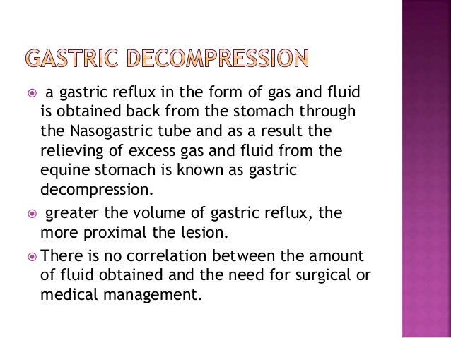 Nasogastric Intubation In Equine