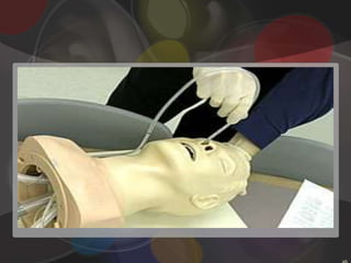 EquipmentpH  test strip