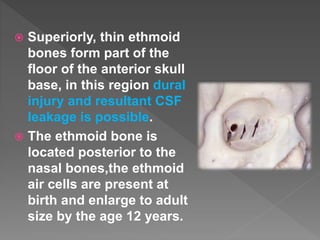  Superiorly, thin ethmoid
bones form part of the
floor of the anterior skull
base, in this region dural
injury and resultant CSF
leakage is possible.
 The ethmoid bone is
located posterior to the
nasal bones,the ethmoid
air cells are present at
birth and enlarge to adult
size by the age 12 years.
 