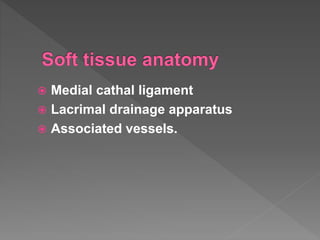  Medial cathal ligament
 Lacrimal drainage apparatus
 Associated vessels.
 