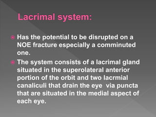  Has the potential to be disrupted on a
NOE fracture especially a comminuted
one.
 The system consists of a lacrimal gland
situated in the superolateral anterior
portion of the orbit and two lacrmial
canaliculi that drain the eye via puncta
that are situated in the medial aspect of
each eye.
 