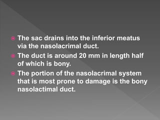  The sac drains into the inferior meatus
via the nasolacrimal duct.
 The duct is around 20 mm in length half
of which is bony.
 The portion of the nasolacrimal system
that is most prone to damage is the bony
nasolactimal duct.
 
