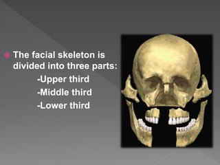  The facial skeleton is
divided into three parts:
-Upper third
-Middle third
-Lower third
 