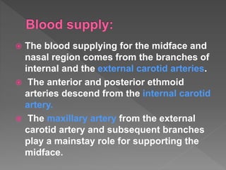  The blood supplying for the midface and
nasal region comes from the branches of
internal and the external carotid arteries.
 The anterior and posterior ethmoid
arteries descend from the internal carotid
artery.
 The maxillary artery from the external
carotid artery and subsequent branches
play a mainstay role for supporting the
midface.
 