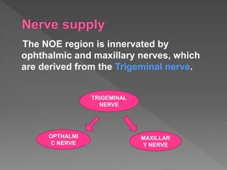 The NOE region is innervated by
ophthalmic and maxillary nerves, which
are derived from the Trigeminal nerve.
TRIGEMINAL
NERVE
OPTHALMI
C NERVE
MAXILLAR
Y NERVE
 