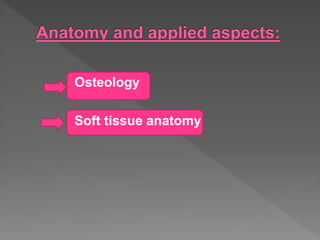 Osteology
Soft tissue anatomy
 