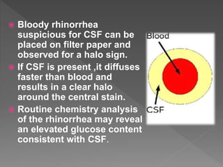  Bloody rhinorrhea
suspicious for CSF can be
placed on filter paper and
observed for a halo sign.
 If CSF is present ,it diffuses
faster than blood and
results in a clear halo
around the central stain.
 Routine chemistry analysis
of the rhinorrhea may reveal
an elevated glucose content
consistent with CSF.
 