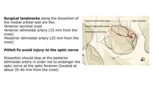 Surgical landmarks along the dissection of
the medial orbital wall are the:
•Anterior lacrimal crest
•Anterior ethmoidal artery (15 mm from the
crest)
•Posterior ethmoidal artery (25 mm from the
crest)
Pitfall:To avoid injury to the optic nerve
Dissection should stop at the posterior
ethmoidal artery in order not to endanger the
optic nerve at the optic foramen (located at
about 35-40 mm from the crest)
 
