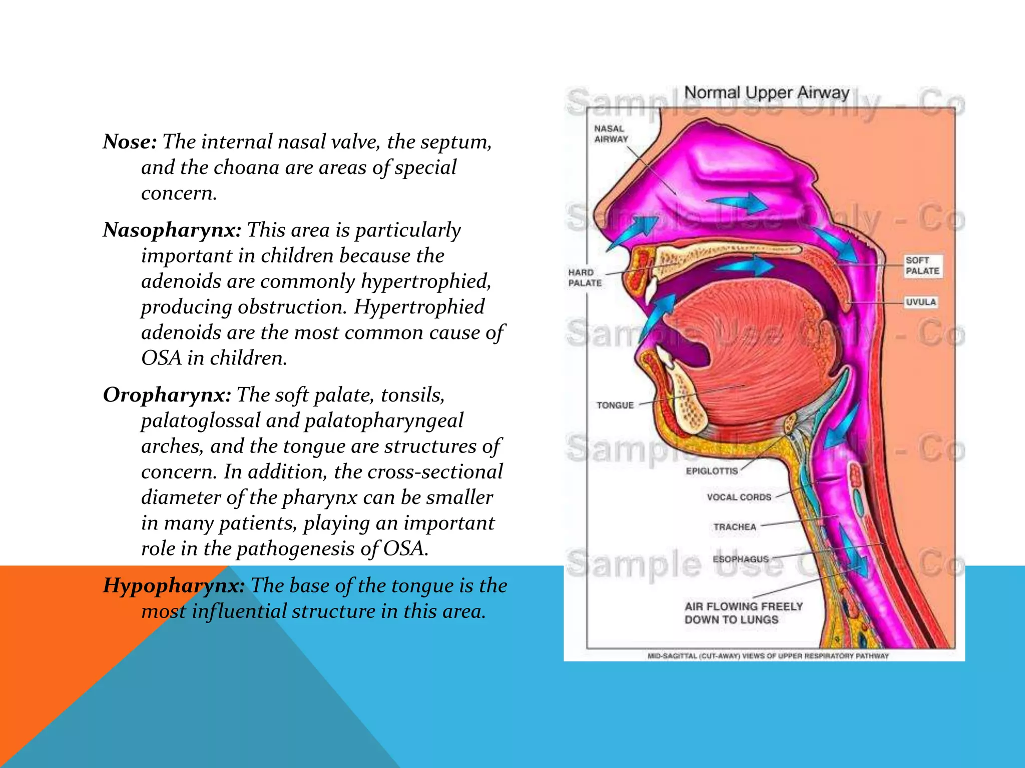 NASOPHARYNGEAL SPACE AND ORTHODONTICS.pptx