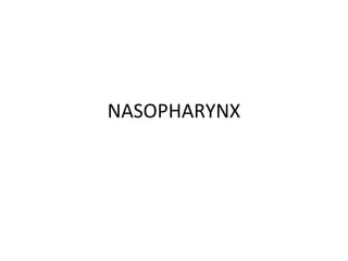 NASOPHARYNX
 