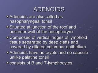 ADENOIDS
Adenoids are also called as
nasopharyngeal tonsil
Situated at junction of the roof and
posterior wall of the nasopharynx
Composed of vertical ridges of lymphoid
tissue separated by deep clefts and
covered by ciliated columnar epithelium
Adenoids have no crypts and no capsule
unlike palatine tonsil
consists of B and T-lymphocytes
 