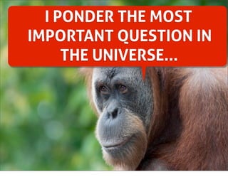 I PONDER THE MOST
IMPORTANT QUESTION IN
THE UNIVERSE...

 
