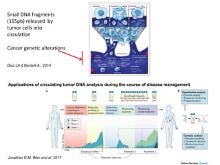 Circulating Tumor DNA Detection from Heparinized Plasma Samples by ...