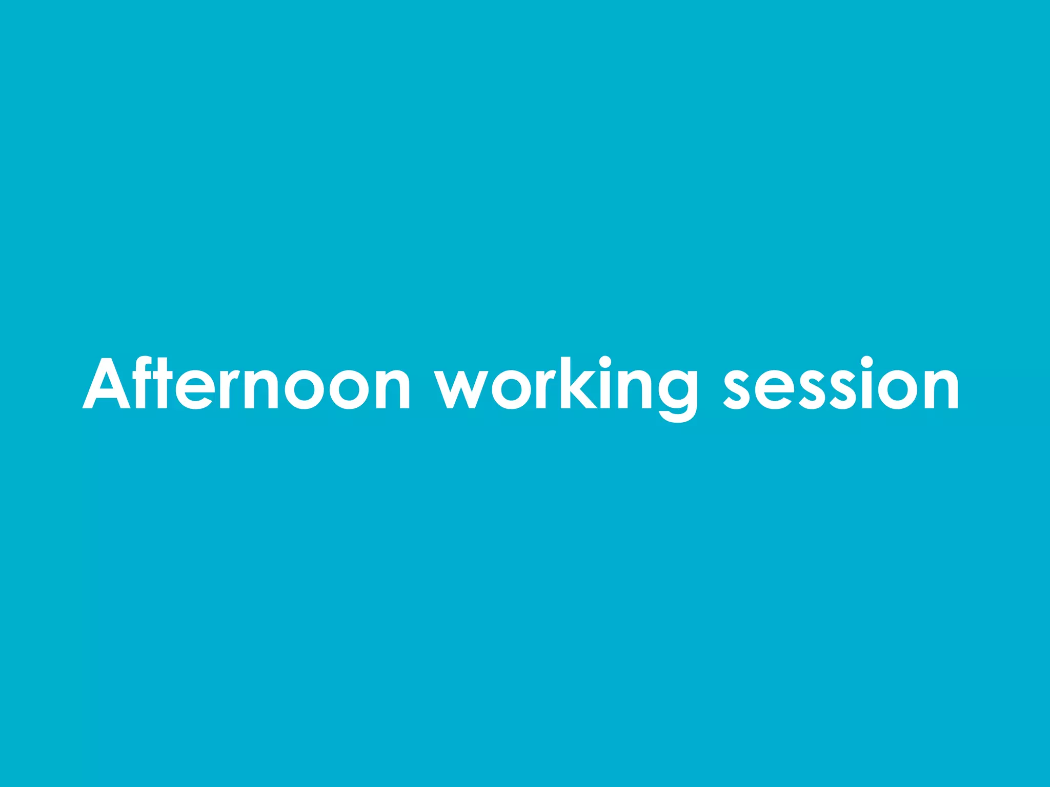 Afternoon working session	
  
 