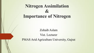 Nitrogen Assimilation
&
Importance of Nitrogen
Zohaib Aslam
Vist. Lecturer
PMAS Arid Agriculture University, Gujrat
 