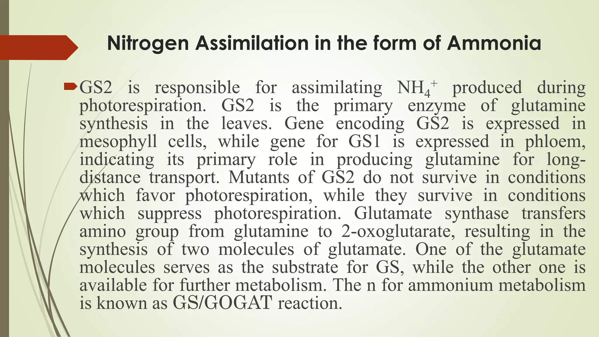 N Assimilation & Importance of Nitrogen for Plants.pdf
